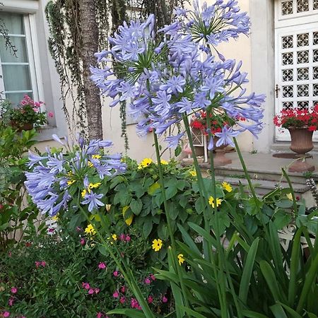 La Belle Vie B&B Montréal Εξωτερικό φωτογραφία