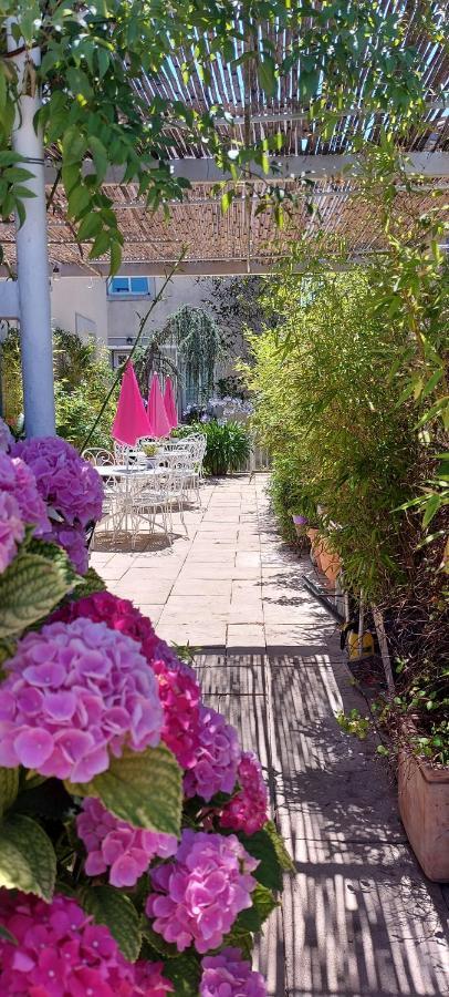 La Belle Vie B&B Montréal Εξωτερικό φωτογραφία